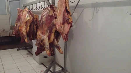Təzə bazardakı gizli sexdə aşkarlanan yararsız ətlərin laboratoriya müayinələri açıqlanıb