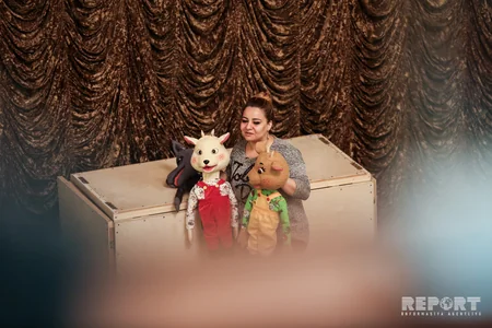 Dövlət Kukla Teatrından - REPORTAJ