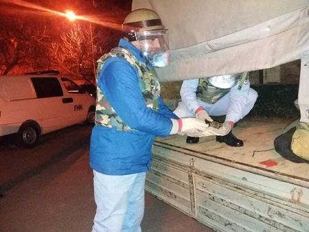 Bakının Xətai rayonunda 1 ədəd əl qumbarası tapılıb