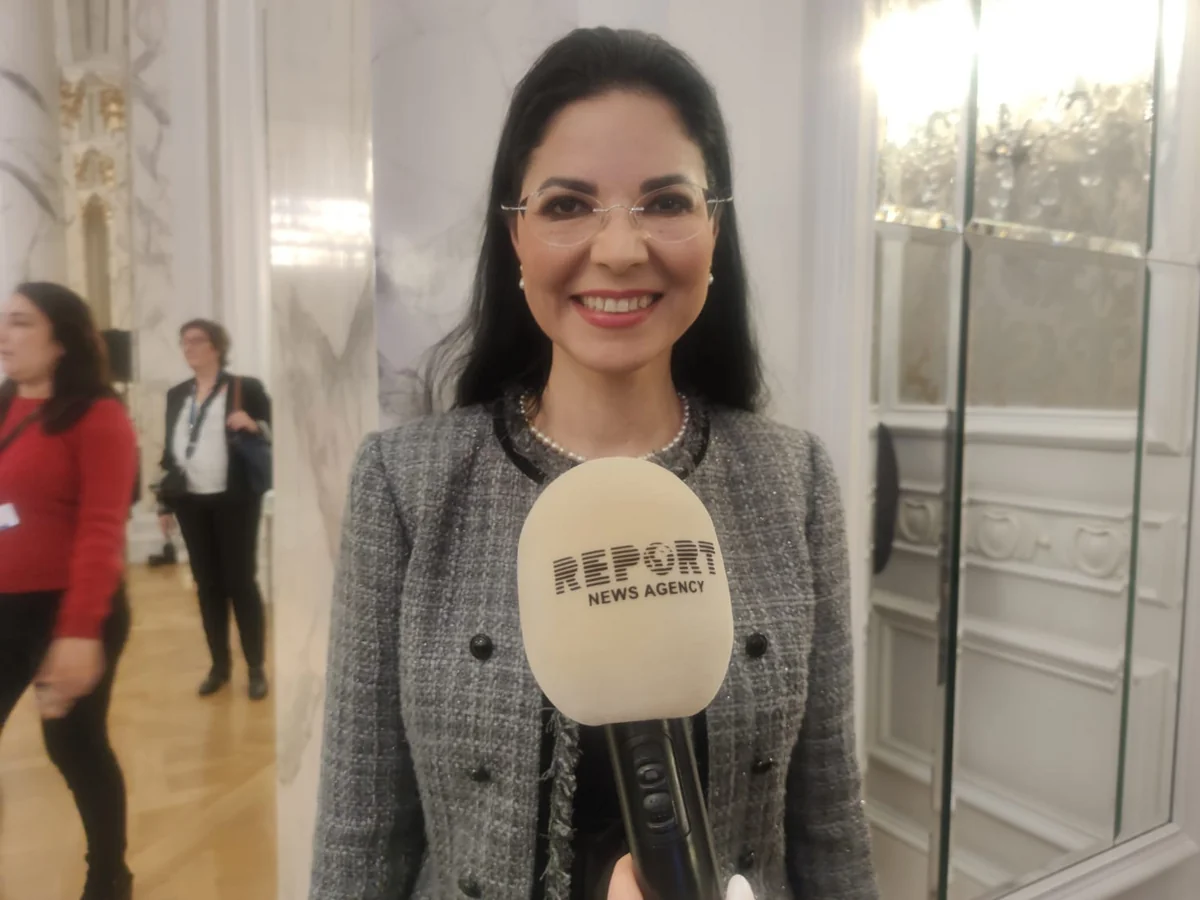 Ana Birchall: Green energy from Azerbaijan to play important role for EU's energy security