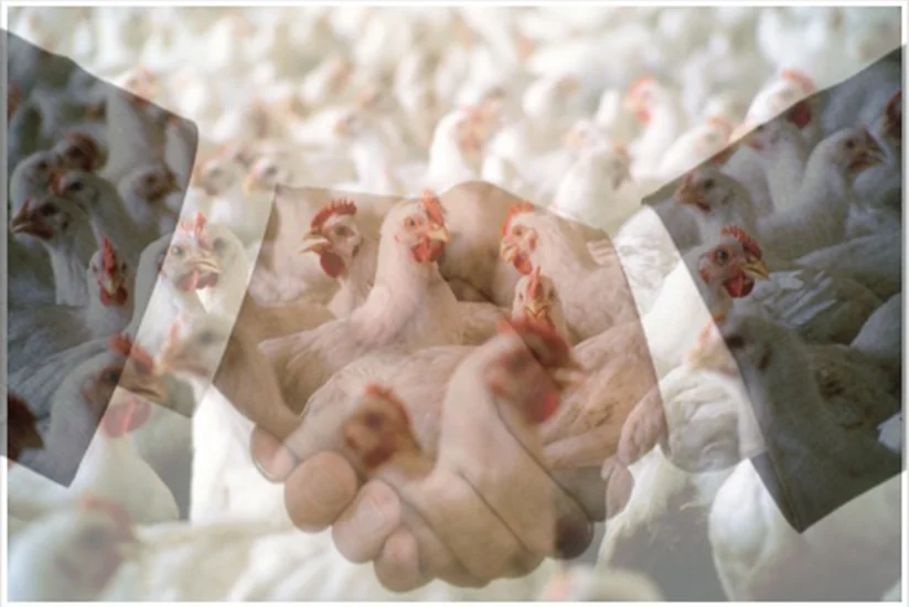 Bakıda topdansatışla məşğul olan şəxsə qarşı dələduzluq edilib