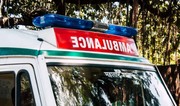 11, including 7 children, killed in pickup van-truck collision in India