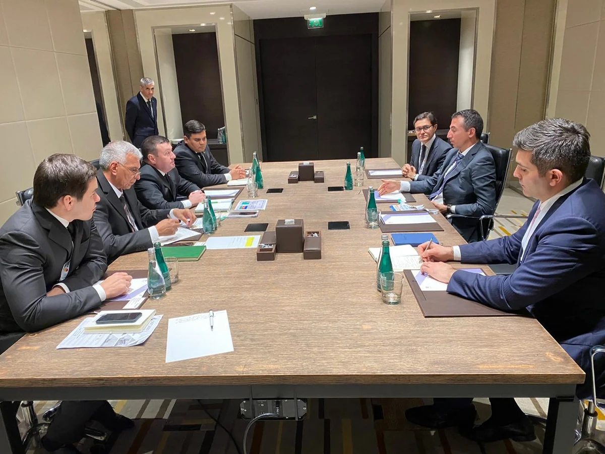 SOCAR совместно с туркменской компанией NAPECO могут создать СП