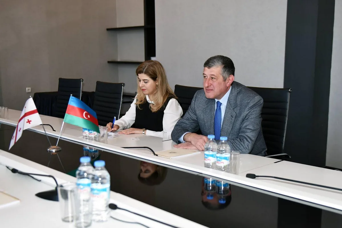 Aleksandr Cecelava: Gürcüstan Azərbaycanla təhsil sahəsində əlaqələrin inkişafında maraqlıdır