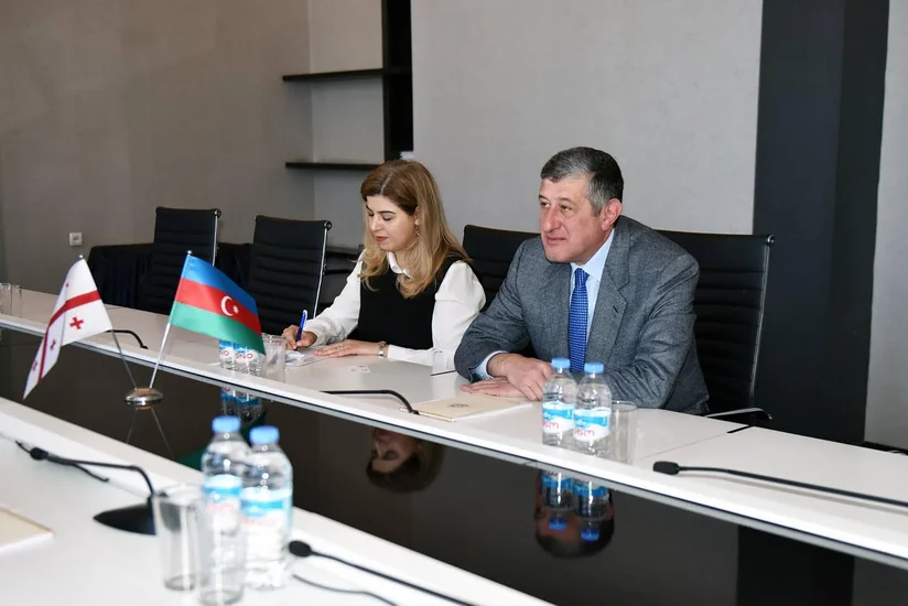 Александр Джеджелава: Грузия заинтересована в развитии связей с Азербайджаном в области образования