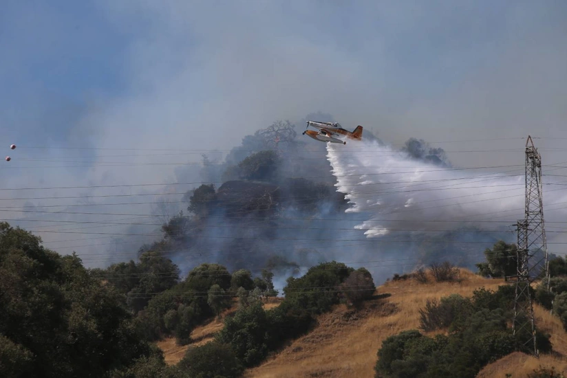 Türkiyədə başlayan yanğın genişlənərək meşəyə keçib