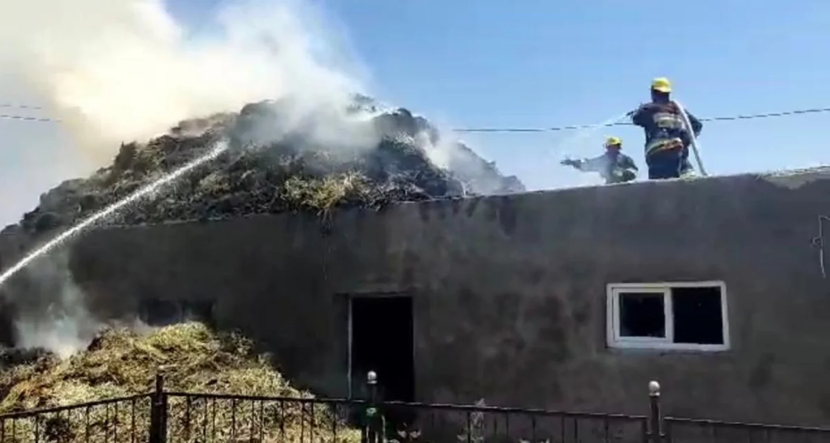 Şərurda həyətyanı sahədə yanğın olub