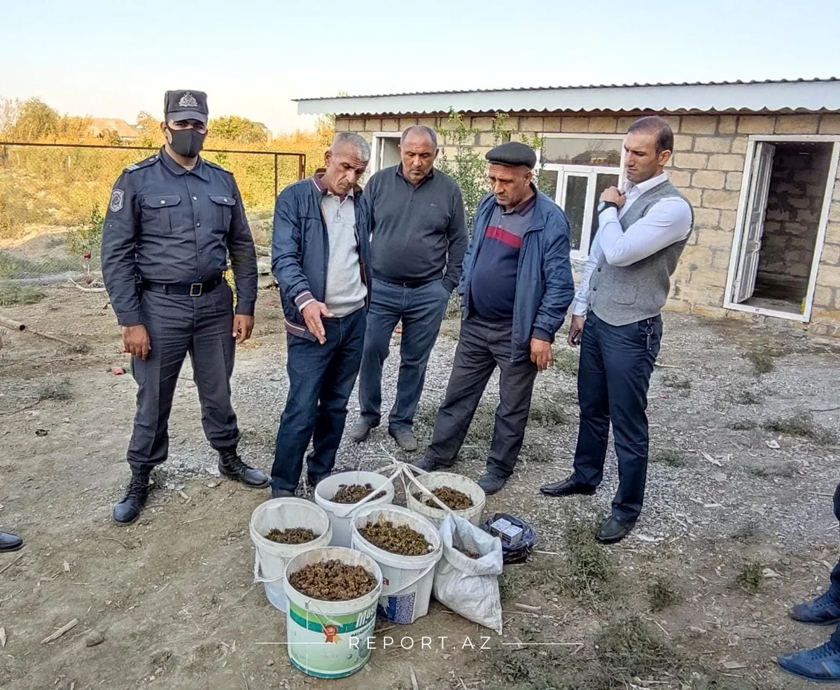 Kürdəmir sakinindən külli miqdarda narkotik götürülüb