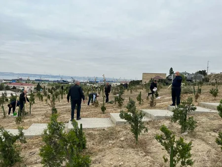 SOCAR “Heydər Əliyev İli” çərçivəsində ağacəkmə aksiyası təşkil edib