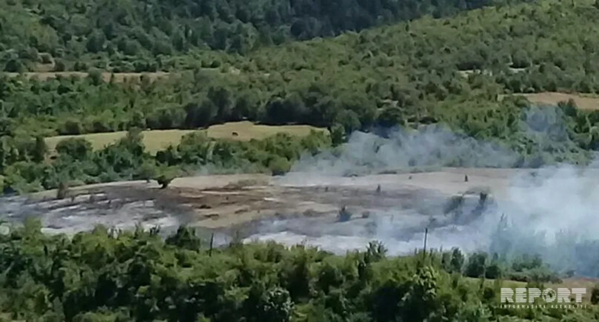 Hirkan Milli Parkında yanğın söndürülür