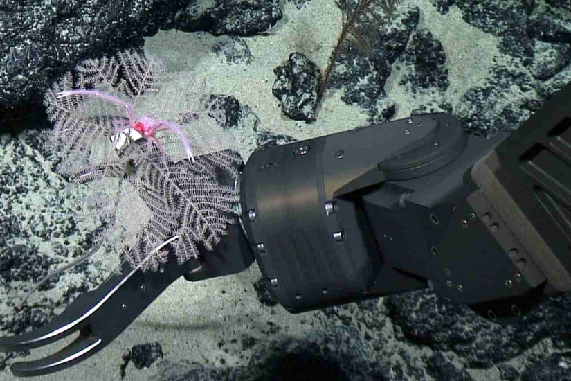 BMW, Volvo, Google commit not to source any minerals from seabed