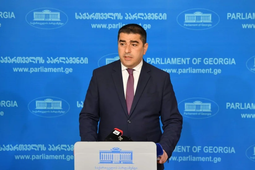 Спикер парламента Грузии Папуашвили проголосовал на парламентских выборах