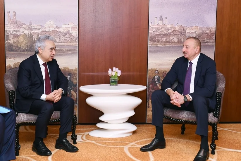 Prezident Beynəlxalq Enerji Agentliyinin icraçı direktoru ilə görüşdü