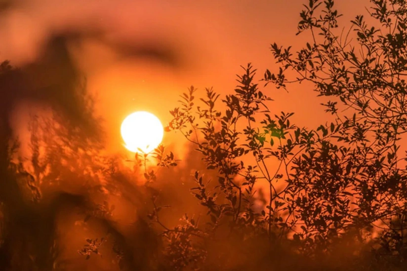 Red alert issued for several parts of North India