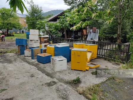 Sel suları Zaqatalada fəsadlara səbəb olub