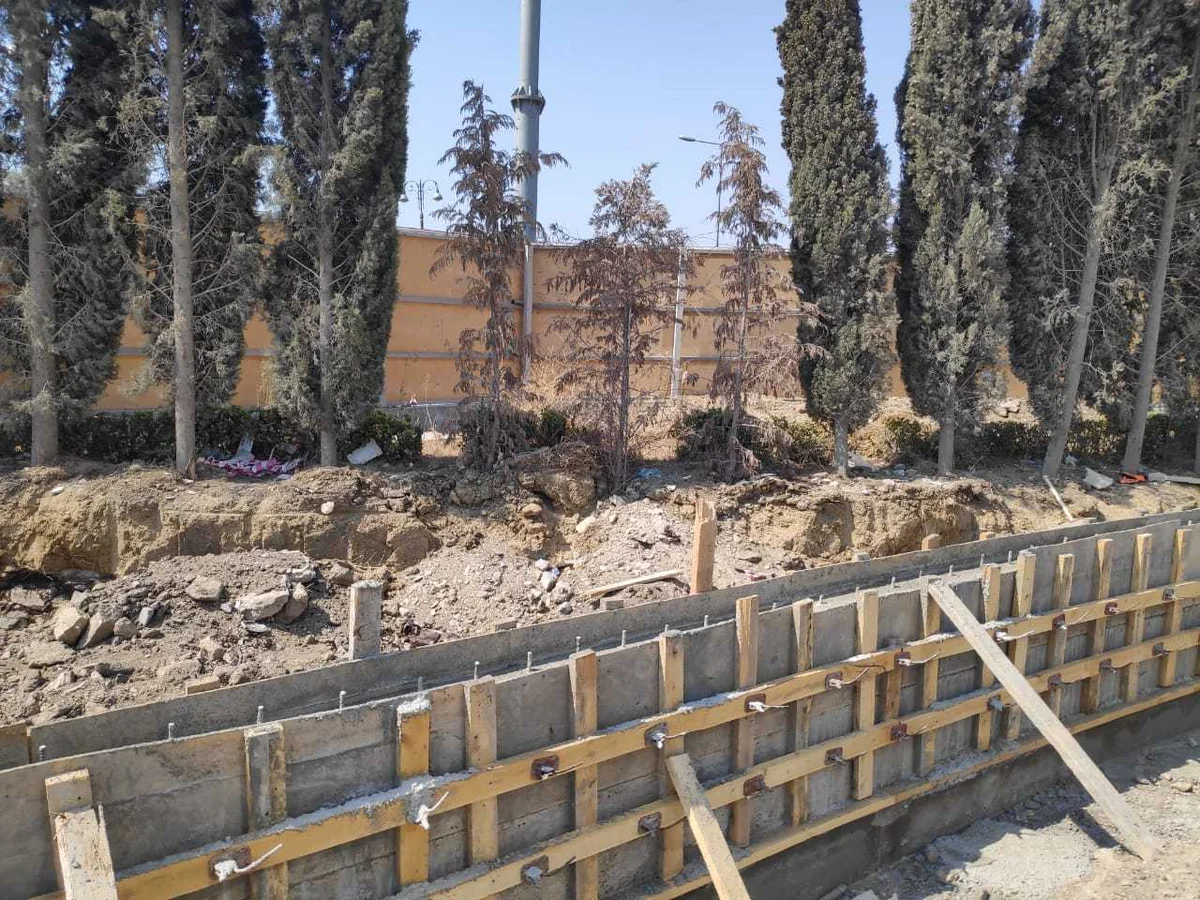 ETSN Bakıda ağacların qurudulmasına görə “Azərsu” barədə protokol tərtib edib