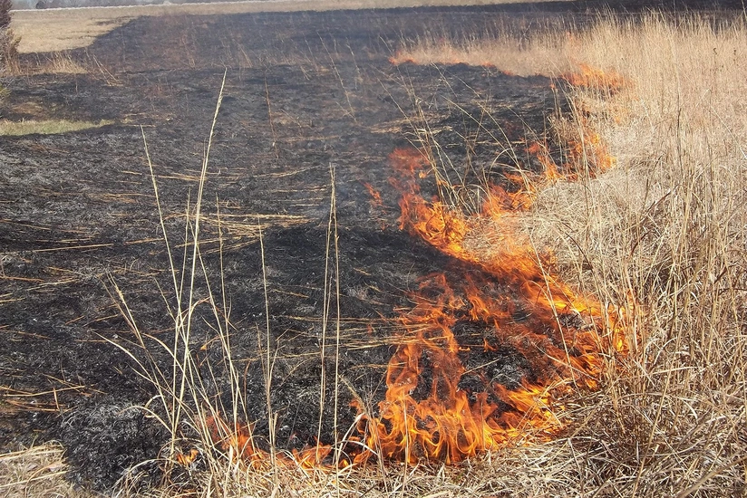 İsmayıllıda dağlıq ərazidə yanğın baş verib