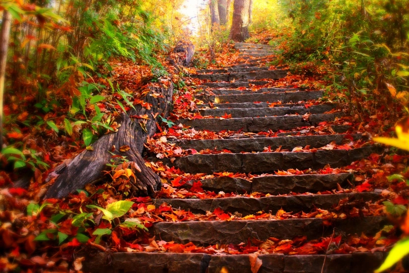 Azərbaycana payız fəsli daxil olub