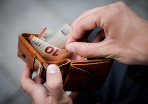 Gürcüstanda dövlət işçilərinin maaşları kəskin azaldılır