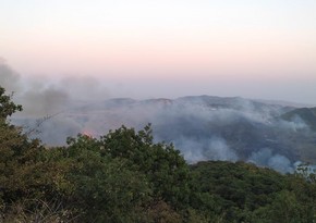 В Шамкире начался пожар в горной местности