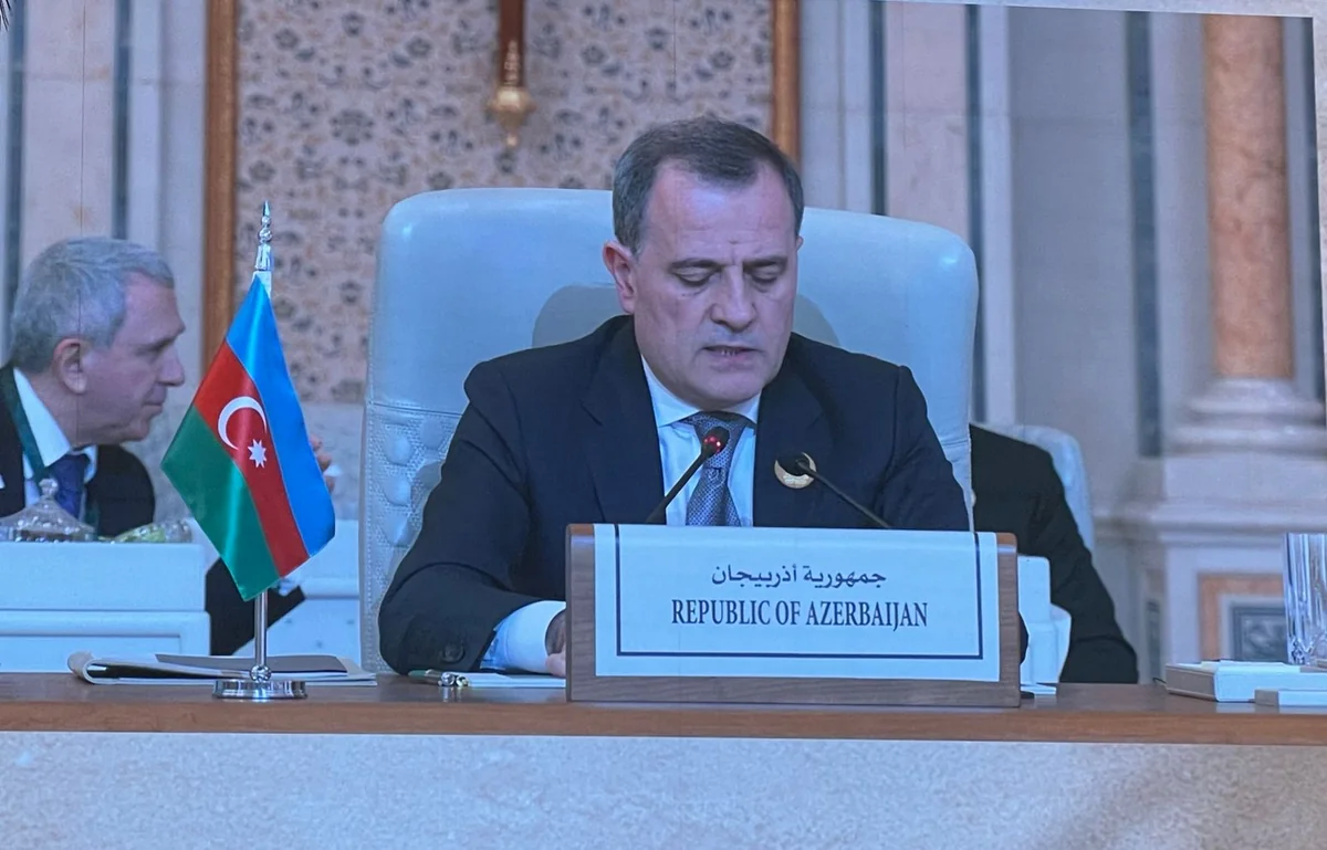 Azerbaijani Foreign Minister speaks at Arab-Islamic Emergency Summit