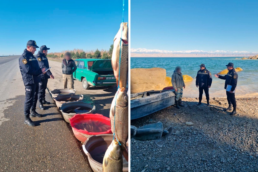 Mingəçevirdə qanunsuz balıq satışı ilə məşğul olan şəxslər cəzalandırılıb