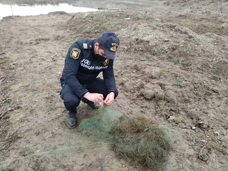 İmişlidə brakonyerliyə qarşı reyd keçirilib