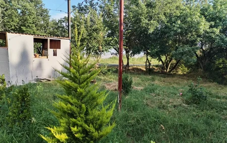 Ağsuda yanğın təhlükəli obyektin fəaliyyəti dayandırılıb