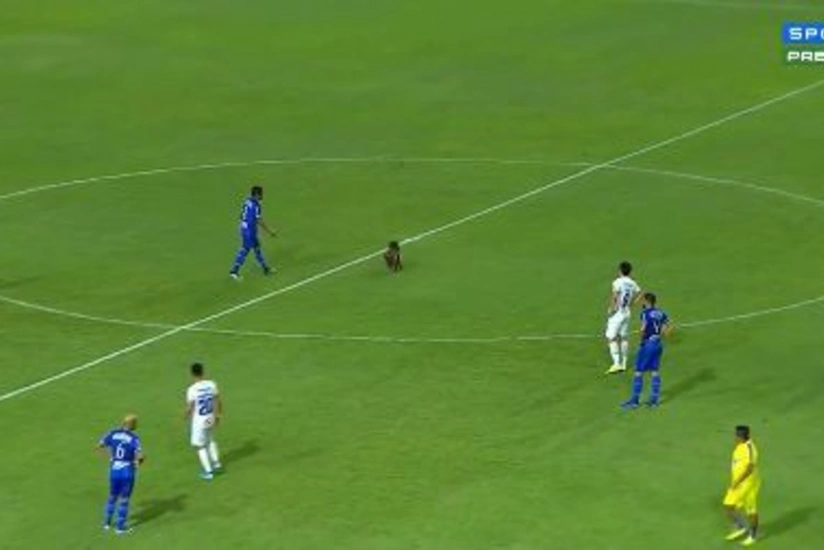 Матч чемпионата Бразилии прервала собака - ВИДЕО