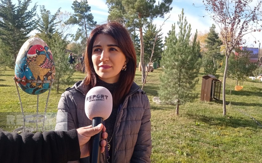 Tuğ kəndindən toplanmış Xındoqnı üzüm sortlarından şərab hazırlanıb