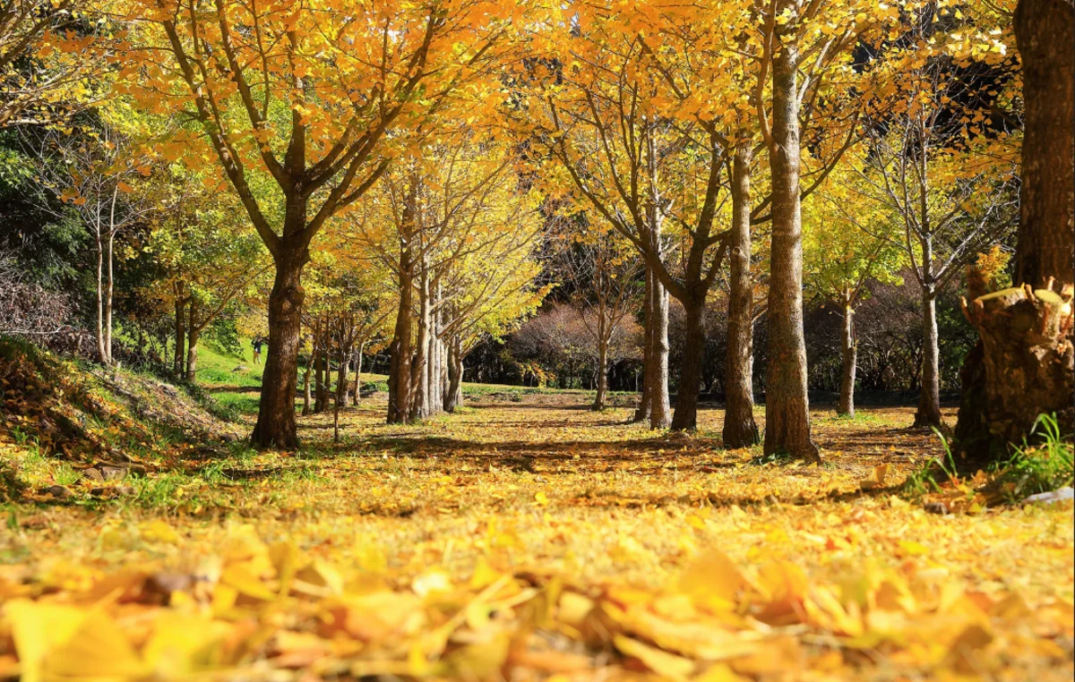 Weather forecast in Azerbaijan on January 7 announced