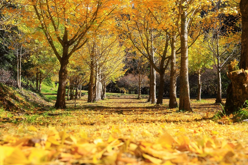 Weather forecast in Azerbaijan on January 7 announced