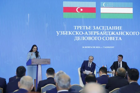 Daşkənddə Özbəkistan-Azərbaycan İşgüzar Şurasının iclası keçirilib
