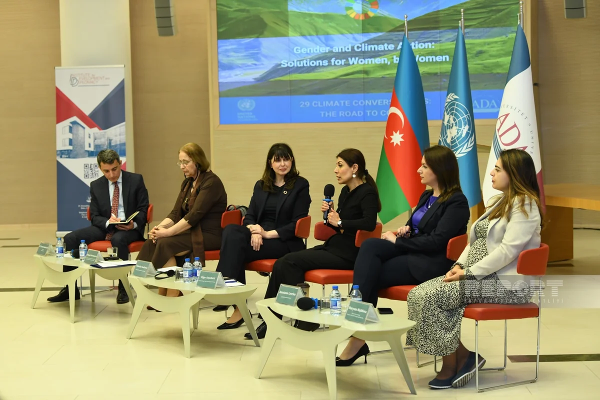 UN Office to invite climate experts to Azerbaijan within COP29