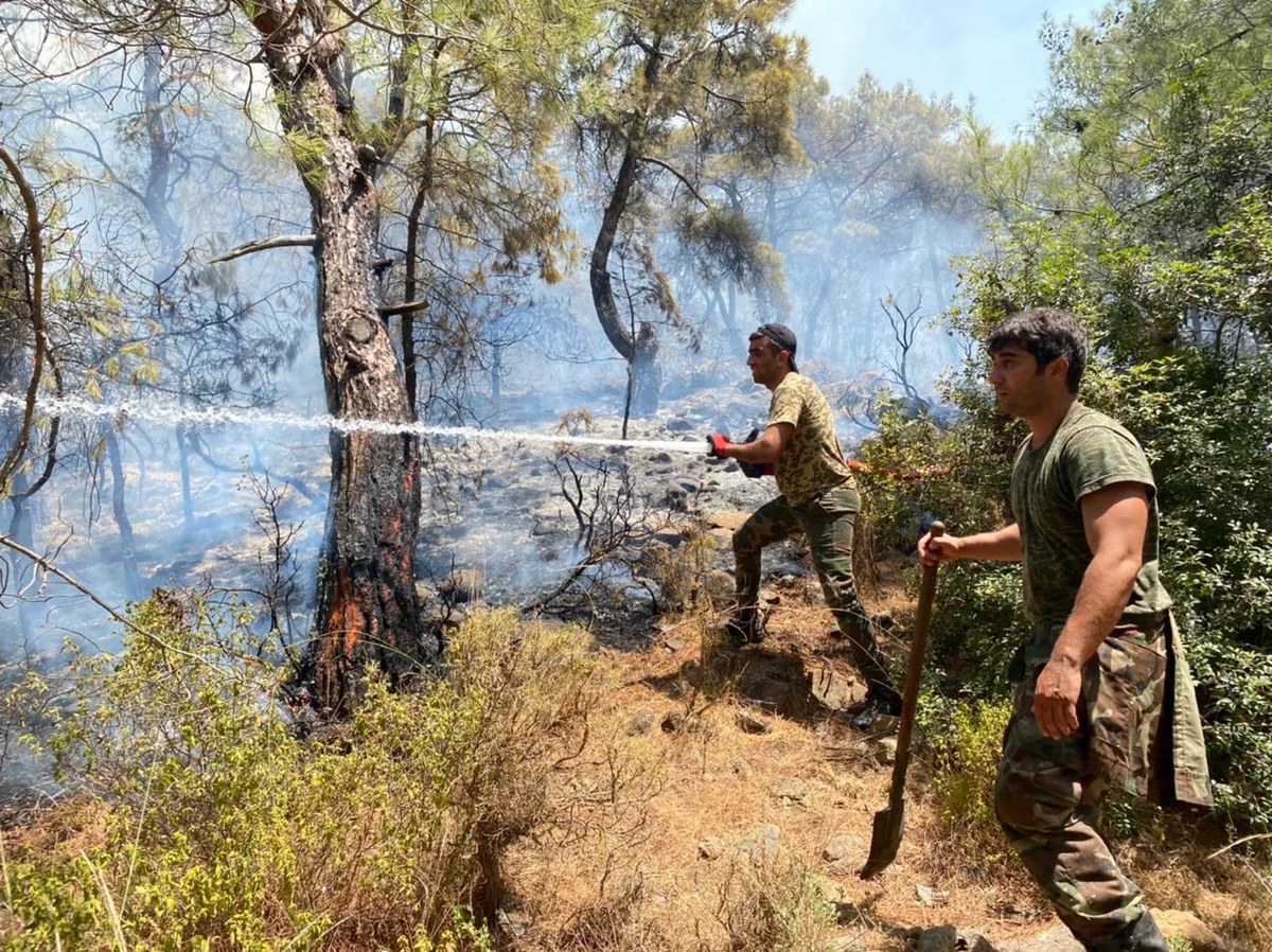 Turkish-Azerbaijani fire brigades put out blaze in Buldan