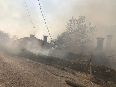 В Турции произошел лесной пожар, сгорели около 40 домов, есть пострадавшие - ФОТО