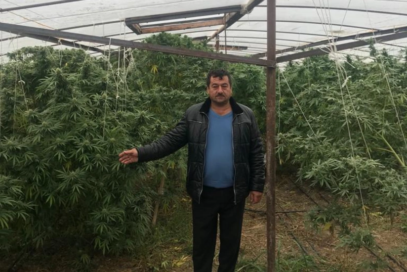 В Барде задержан мужчина, занимавшийся незаконным культивированием конопли