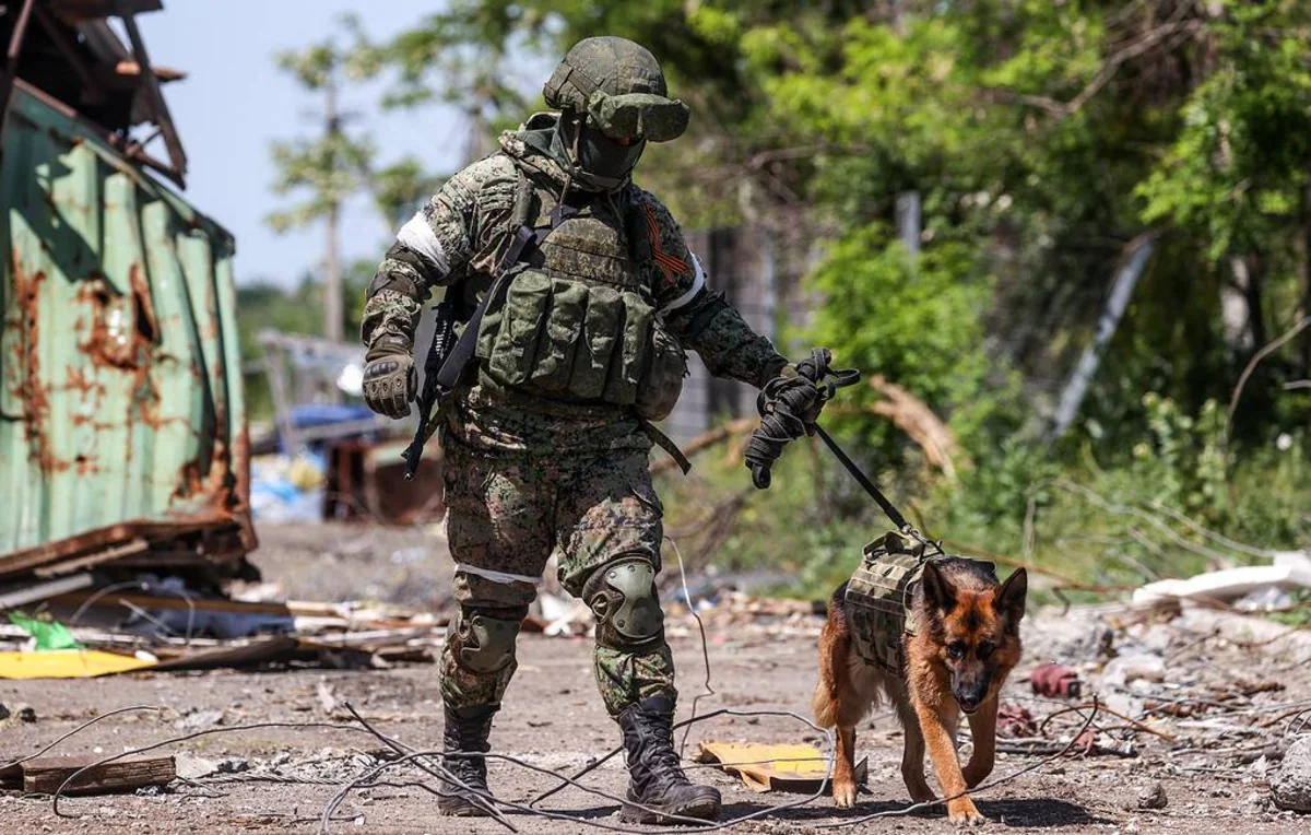 Numerous casualties reported as Russia shells Dnipropetrovsk