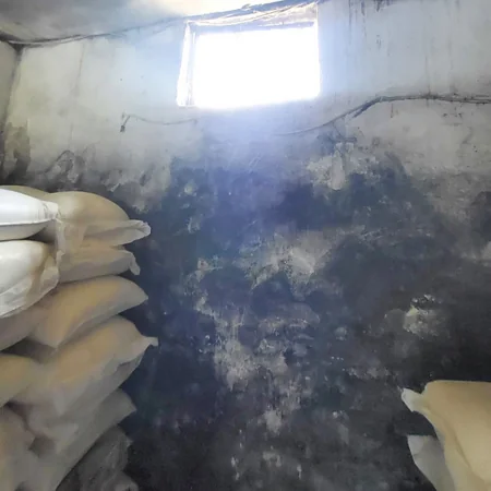 Bakıda çörək istehsalı müəssisəsində nöqsanlar aşkarlanıb