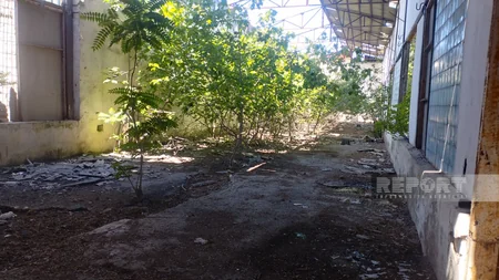 Məşhur sovet filmində adı çəkilən, üç əsrin şahidi, tarixə qovuşmaq üzrə olan şərab zavodu – Kürdəmirdən REPORTAJ  