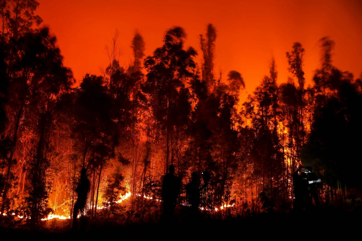 10 feared dead in Chile forest fires: officials