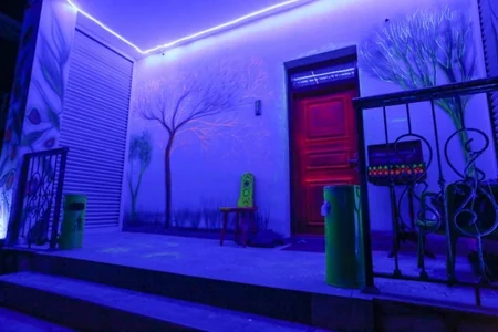 Azərbaycanda “Farhause” neon ev muzeyi açılıb