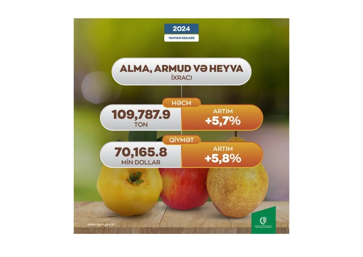 Azərbaycan alma, armud və heyva ixracından gəlirini 6 %-ə yaxın artırıb