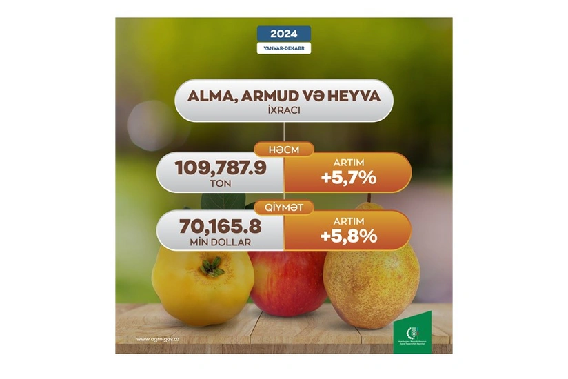 Azərbaycan alma, armud və heyva ixracından gəlirini 6 %-ə yaxın artırıb