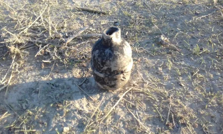 Xızıda daha 132 ədəd partlamamış hərbi sursat aşkarlanıb