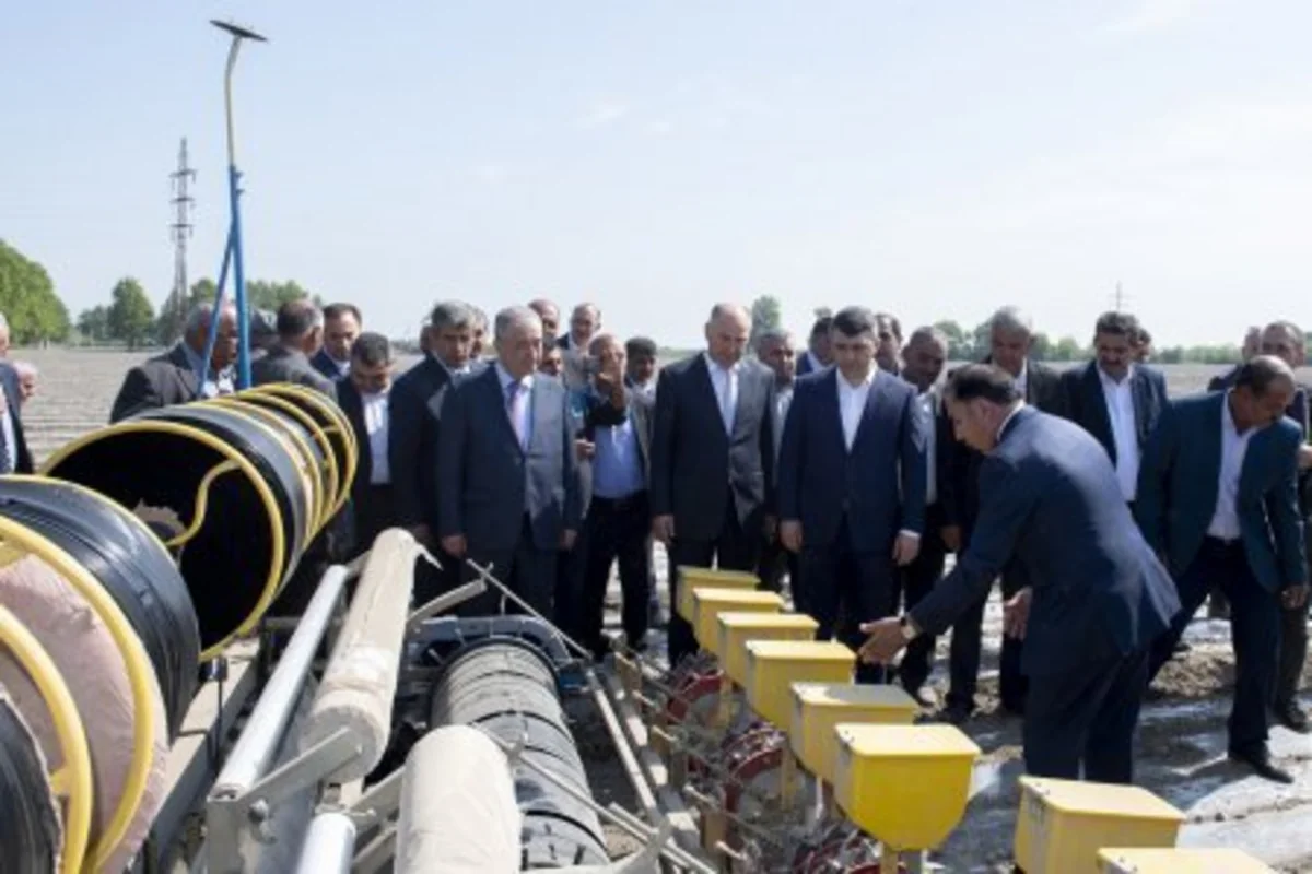 Ucarda “Pambığın Çin texnologiyası” əsasında becərilməsi ilə bağlı pilot layihə təqdim olunub