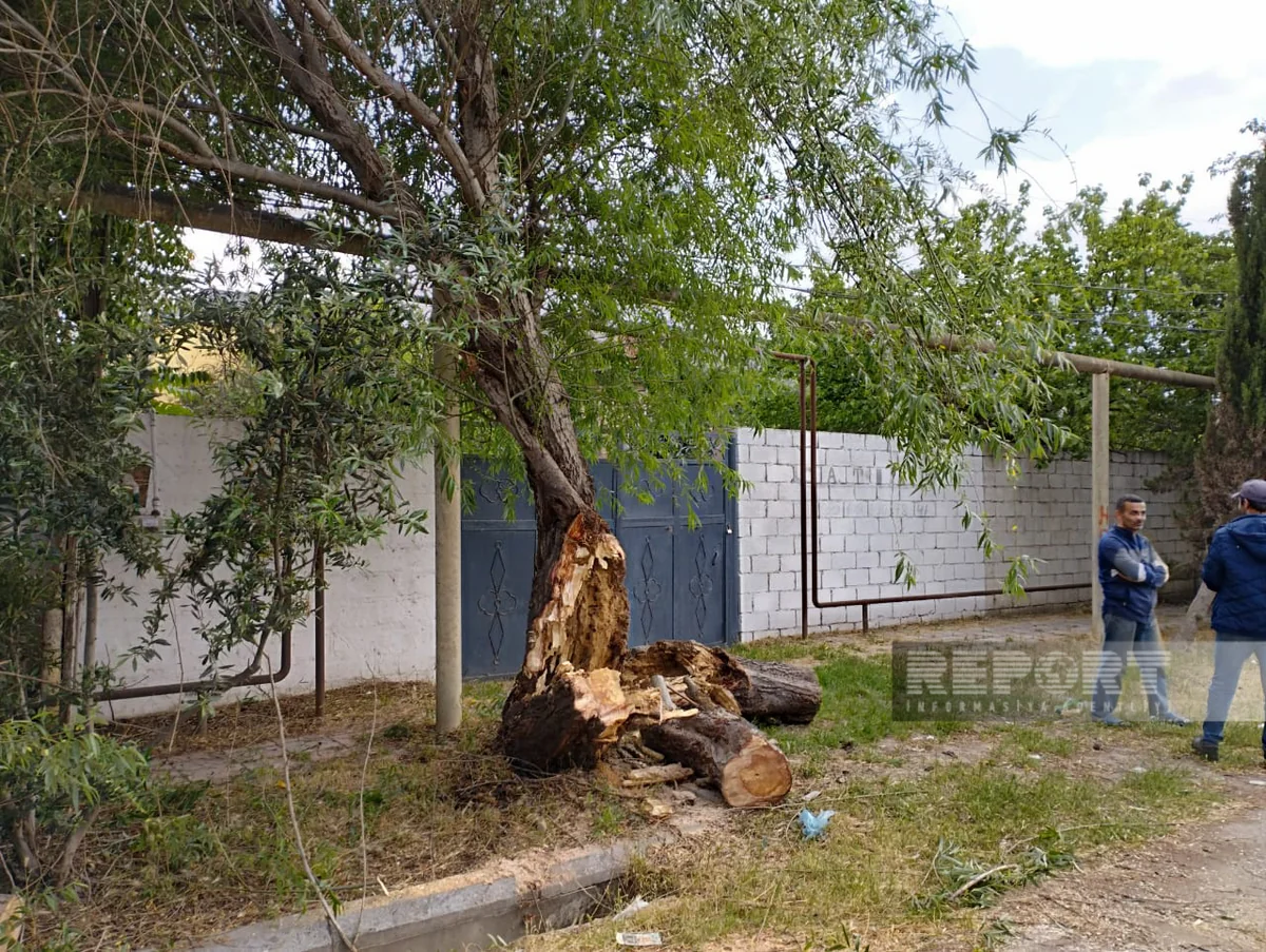 Salyanda elektrik enerjisinin verilişi bərpa olunub - YENİLƏNİB