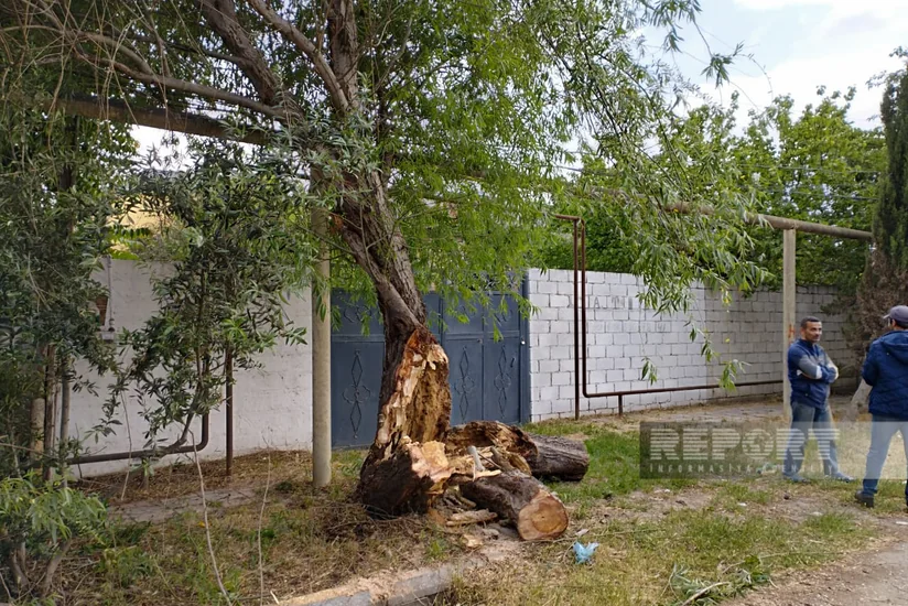 Salyanda elektrik enerjisinin verilişi bərpa olunub - YENİLƏNİB