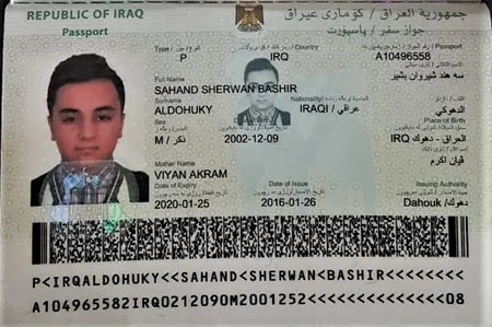 4 əcnəbi vətəndaşın saxta sənədlərlə Azərbaycanı keçmək cəhdinin qarşısı alınıb