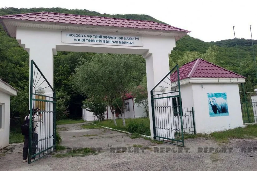 Ekologiya və Təbii Sərvətlər Nazirliyi Altıağac Milli Parkında tədbir keçirir